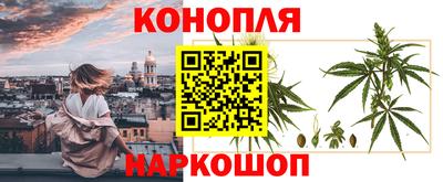 кокс Аргун