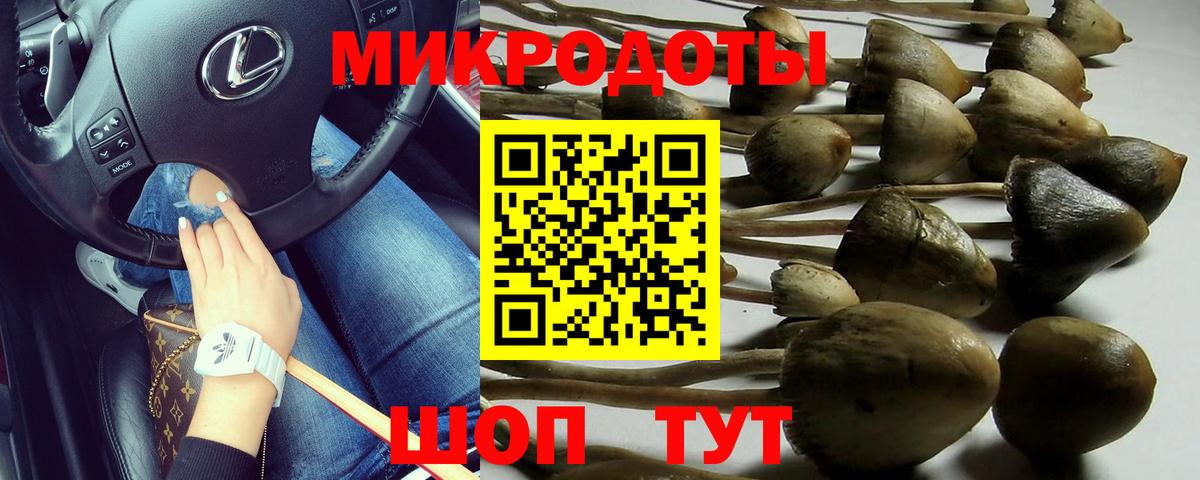 Галлюциногенные грибы прущие грибы  где купить наркотик  Бийск  Вход с VPN 